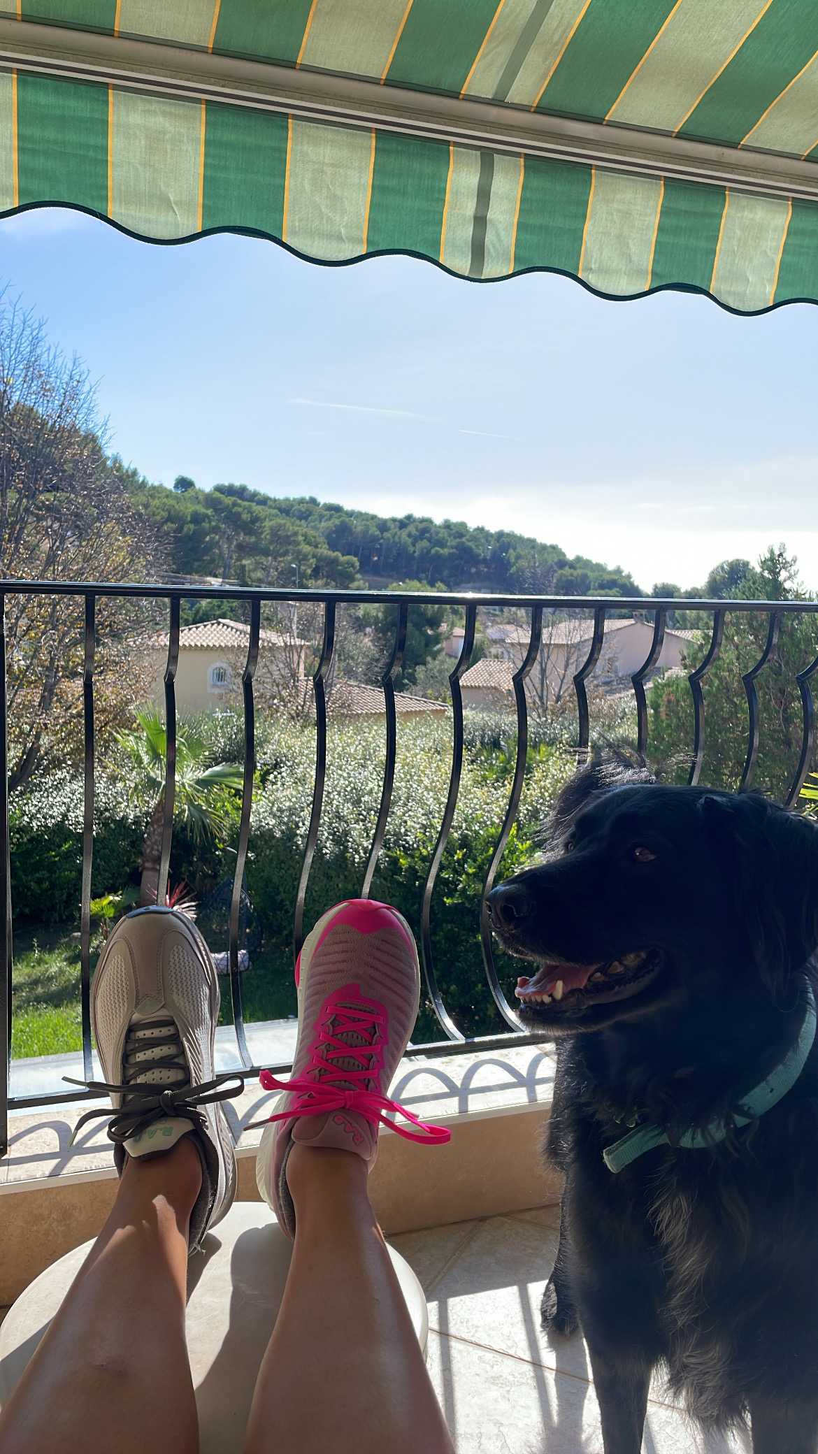 RAD V1 SHOES — Review